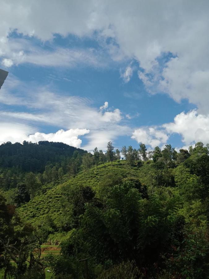 Village Nest Ella Luaran gambar