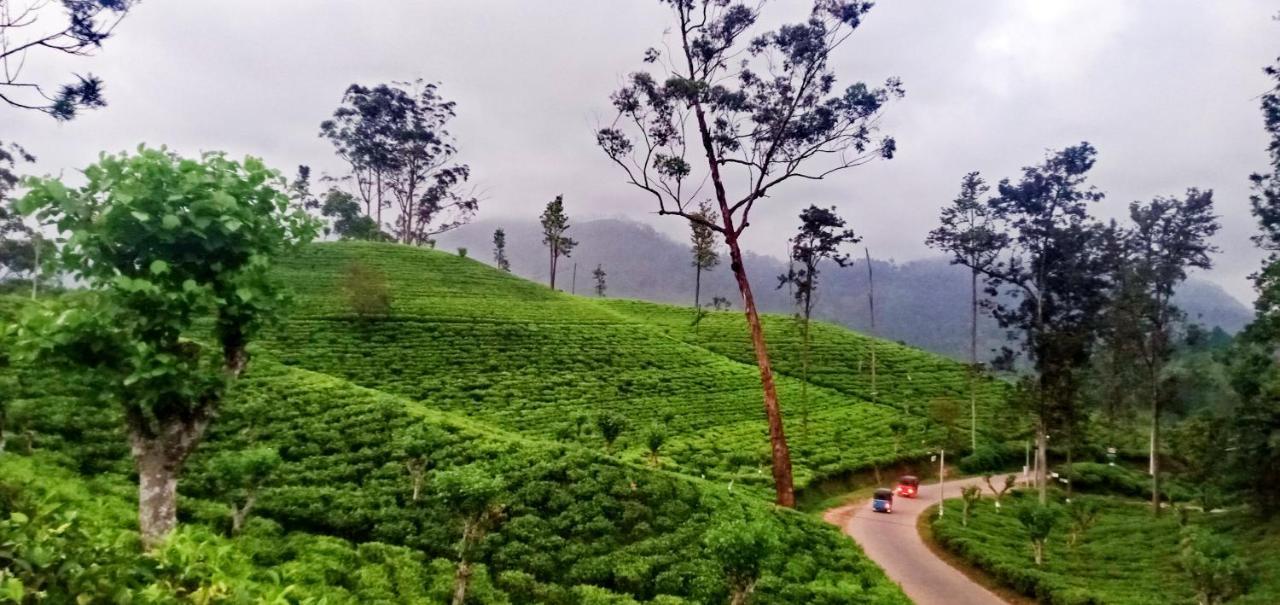 Village Nest Ella Luaran gambar
