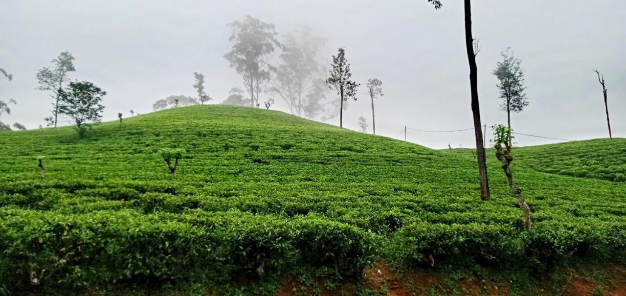 Village Nest Ella Luaran gambar